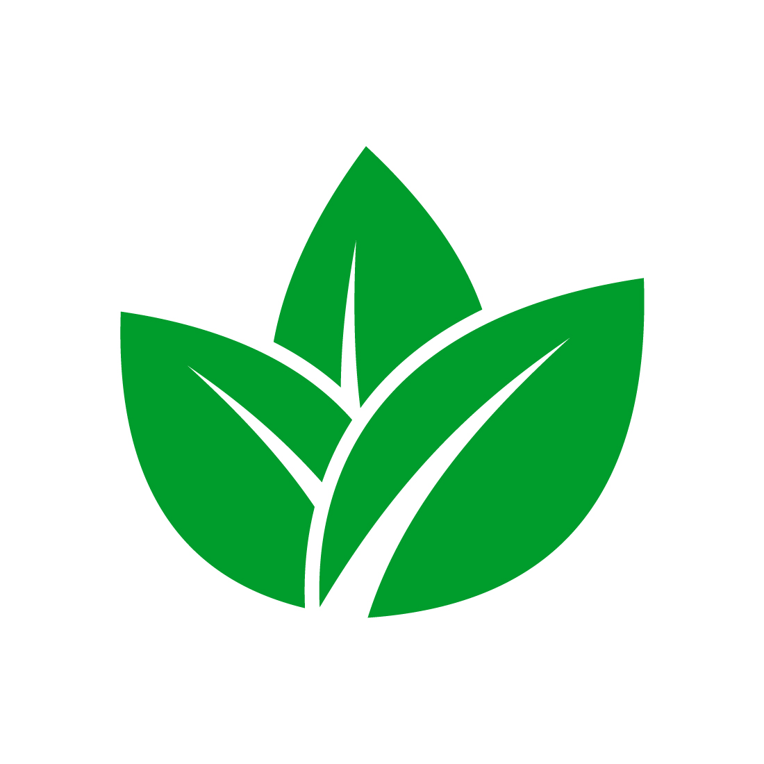 Leaf, plant, logo Green leaves, nature symbol, Vector design template preview image.