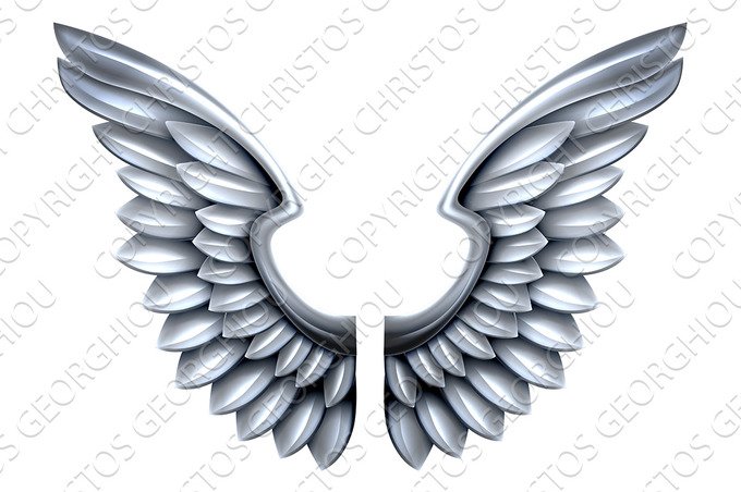 Silver Metal Wings cover image.