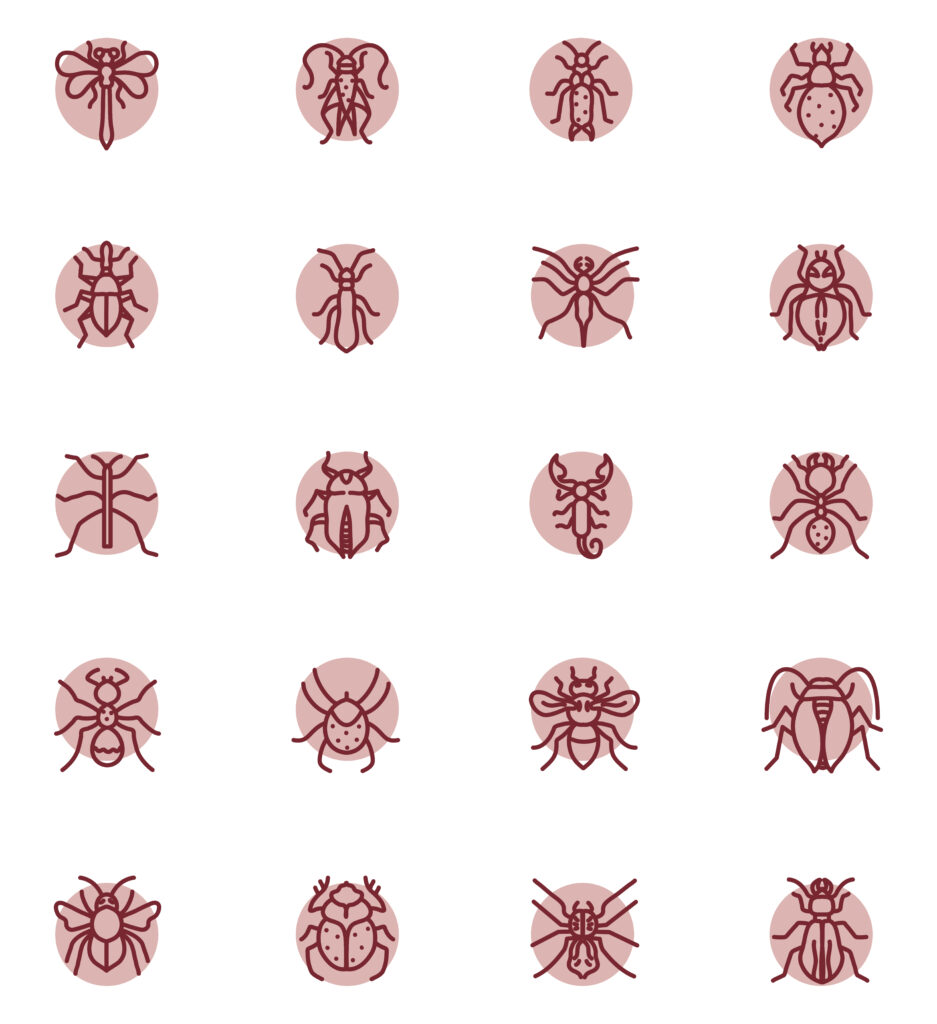 Insect Icons Set – MasterBundles