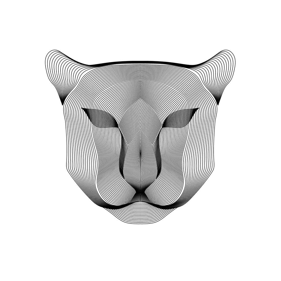 Black and white drawing of a cat's face.