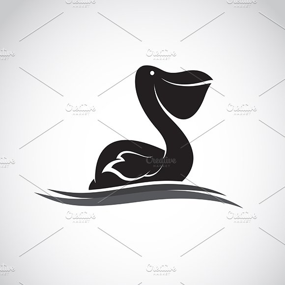 Vector image of an pelican cover image.