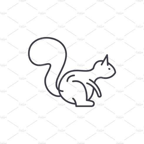 Squirrel line icon concept. Squirrel cover image.