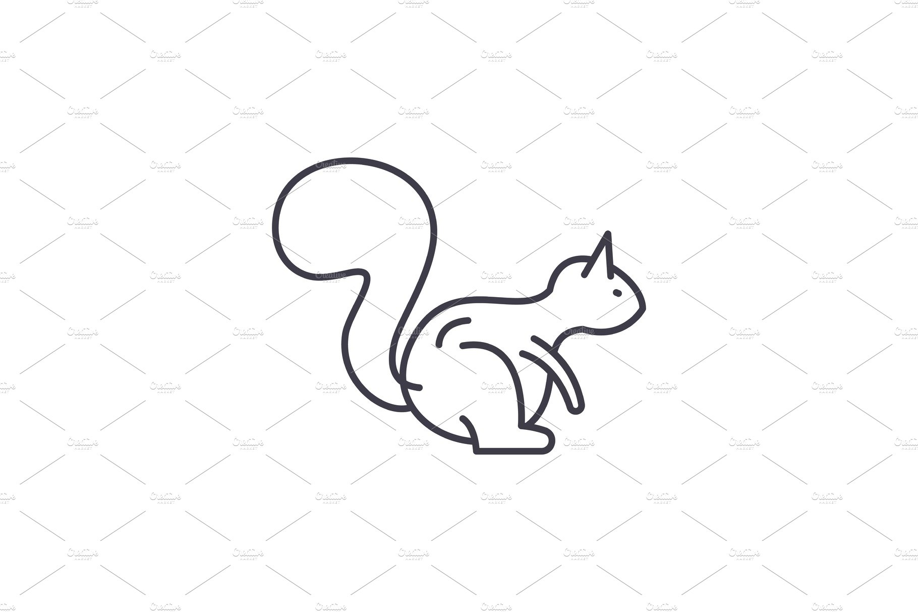 Squirrel line icon concept. Squirrel cover image.