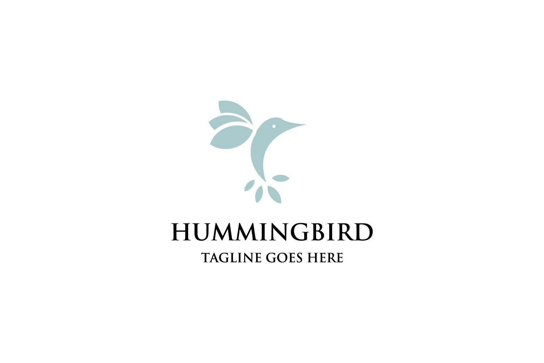 hummingbird logo cover image.
