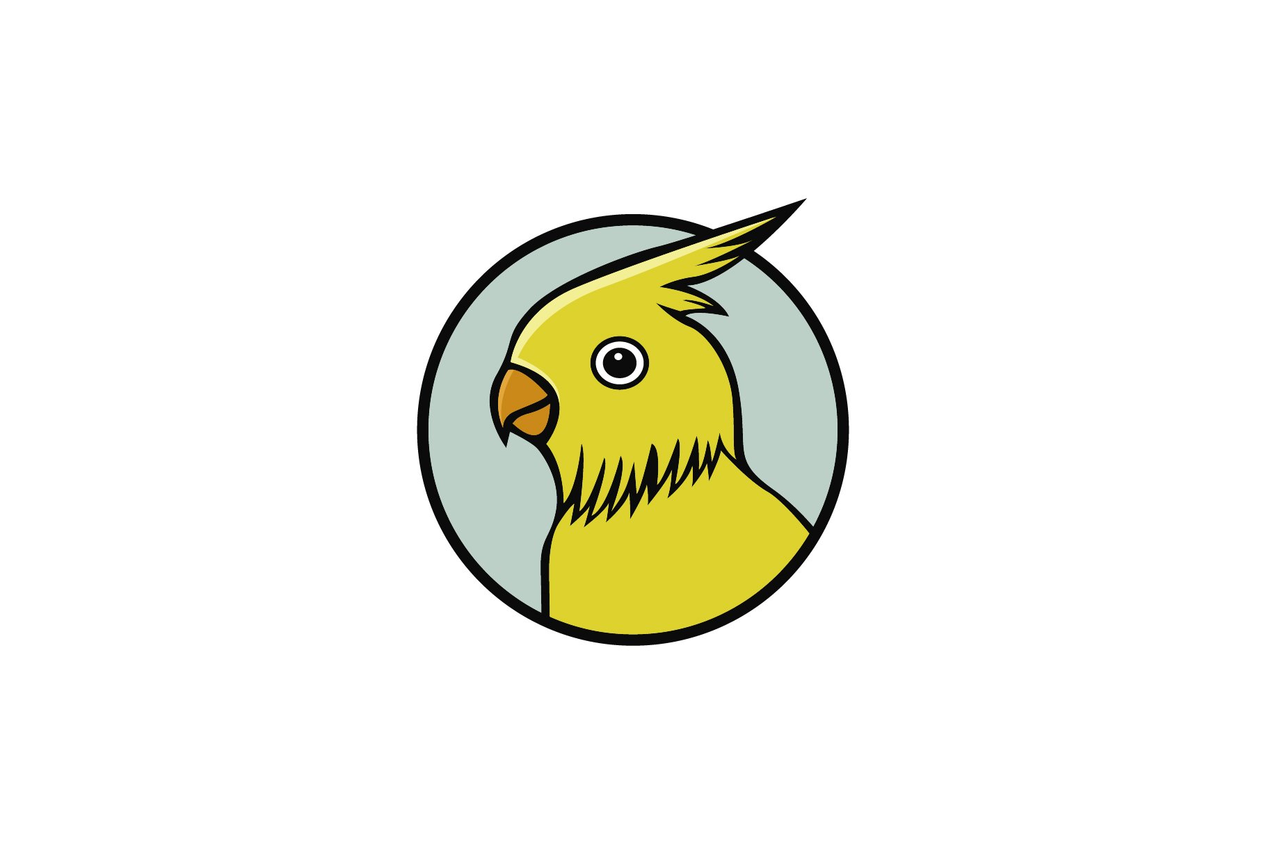 parrot bird logo cover image.