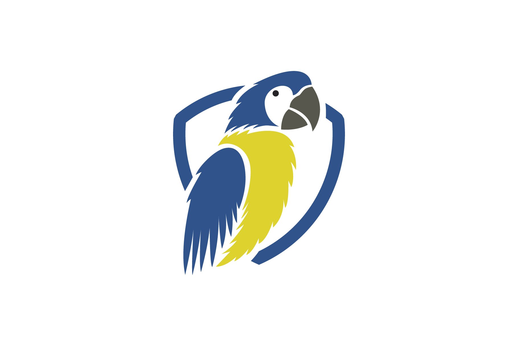 parrot bird logo cover image.
