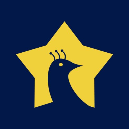 star bird logo cover image.