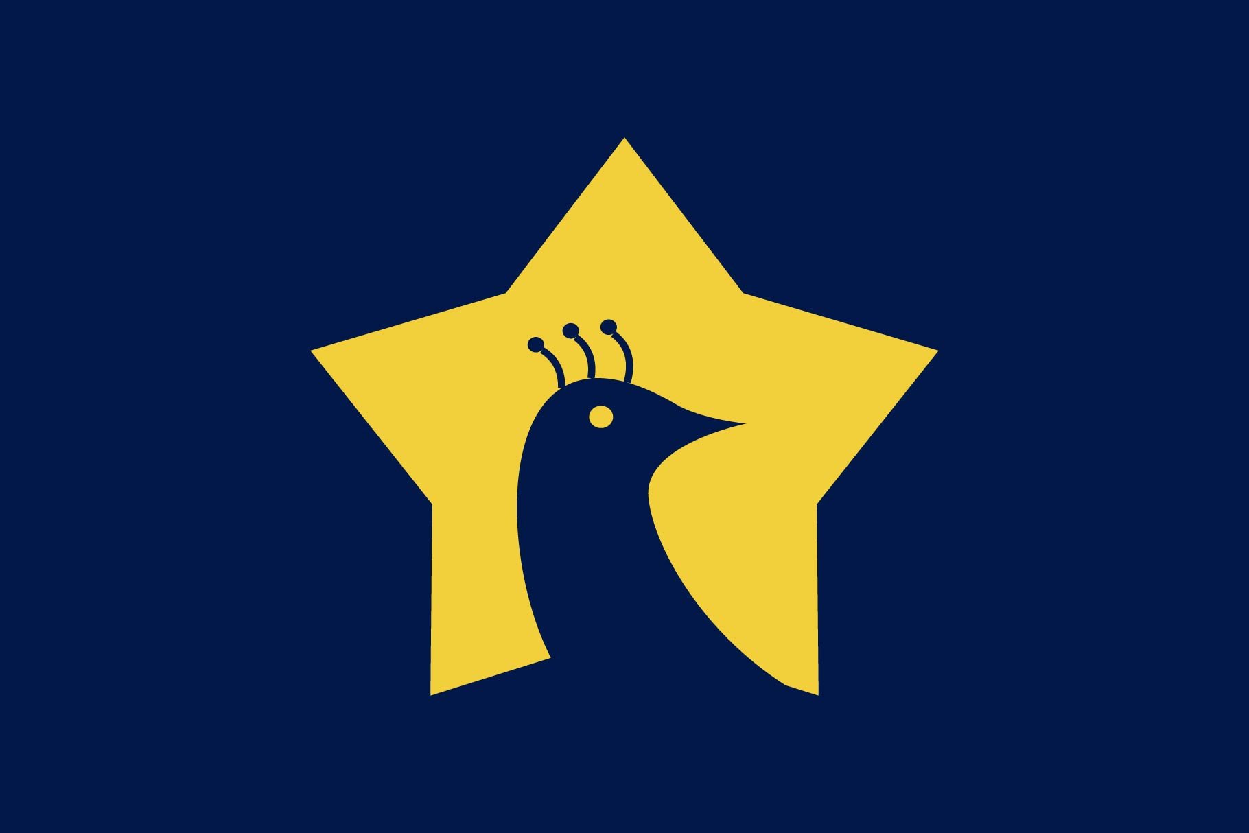 star bird logo cover image.