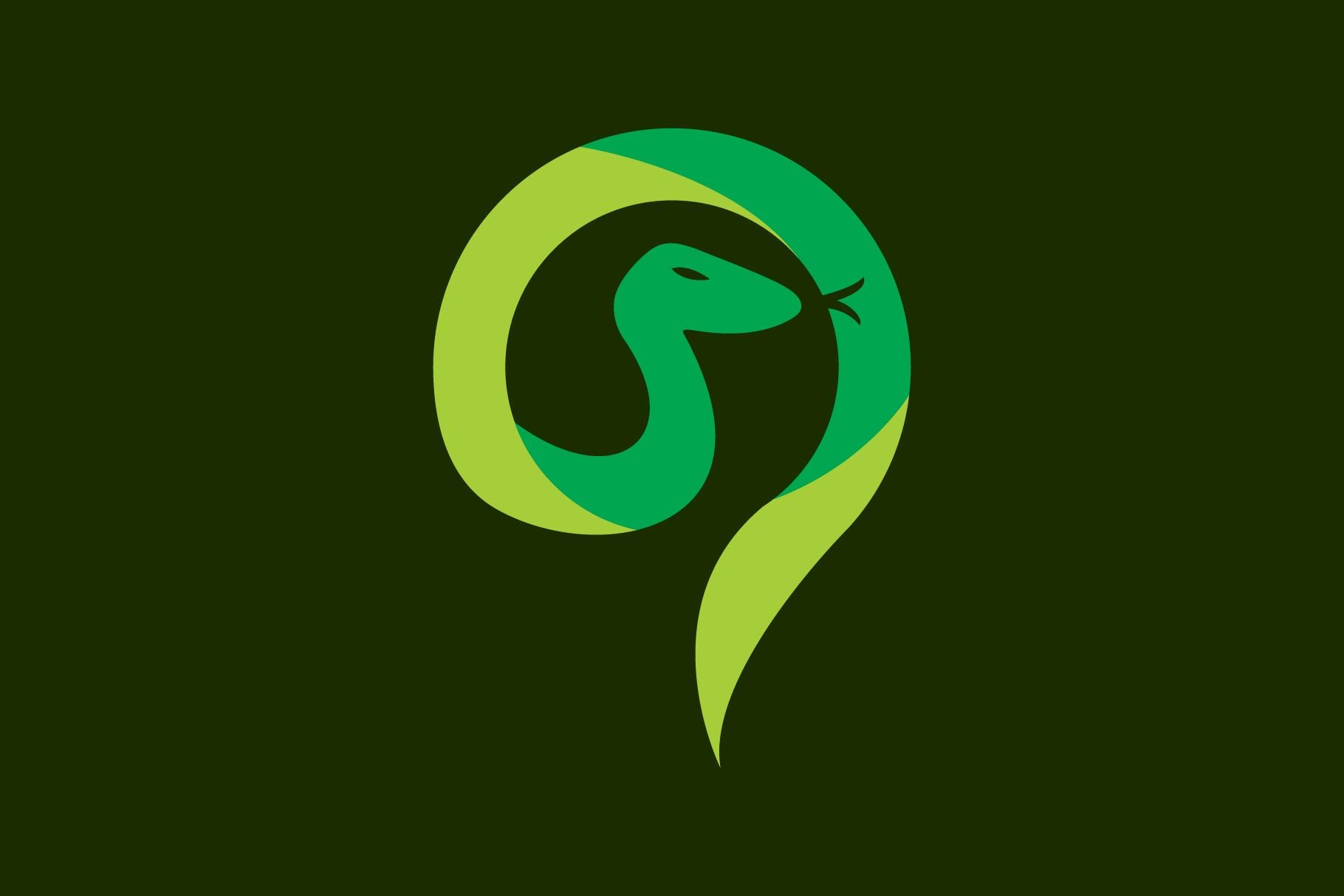 snake logo cover image.
