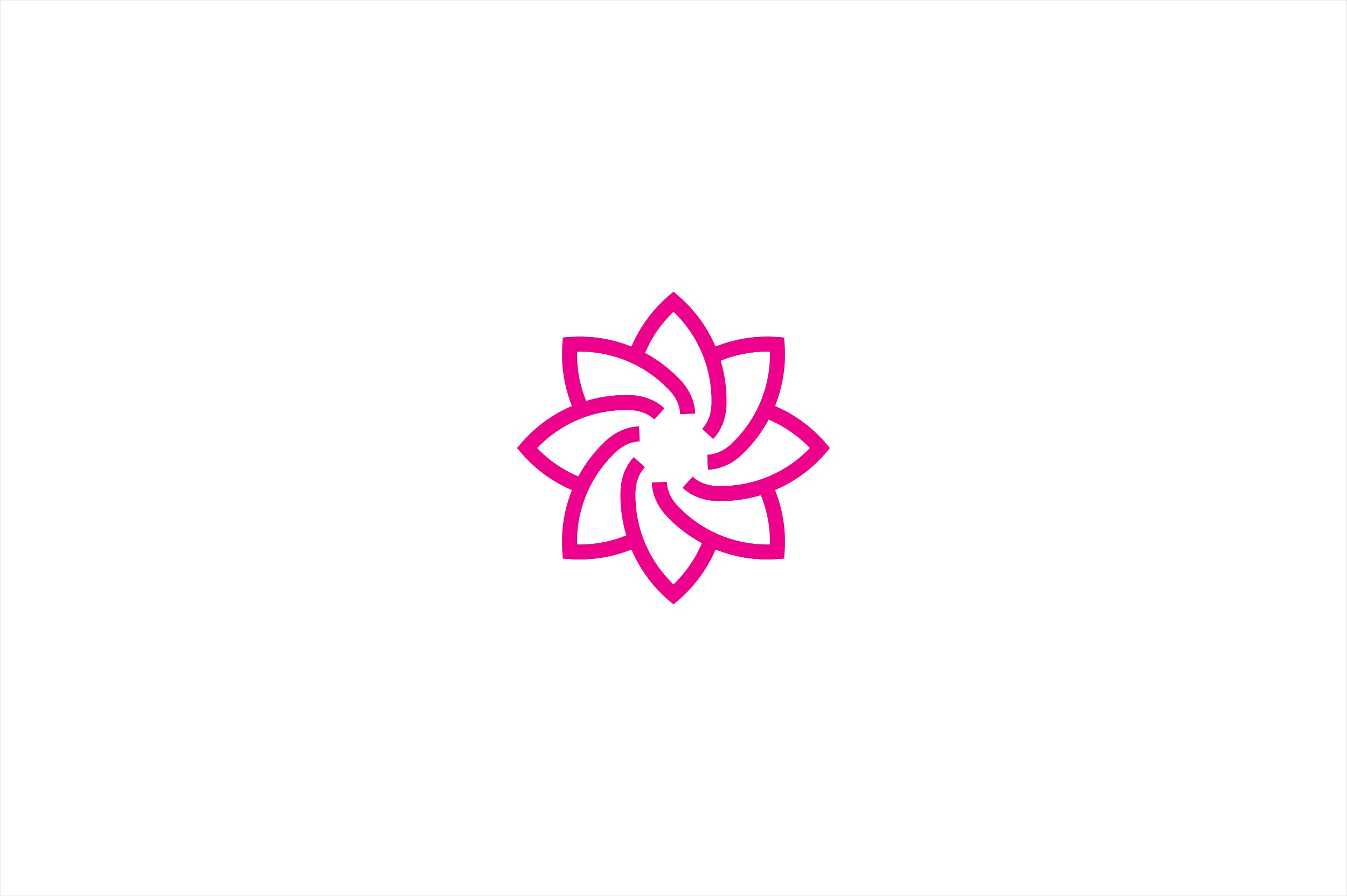 Lily star logo template. cover image.
