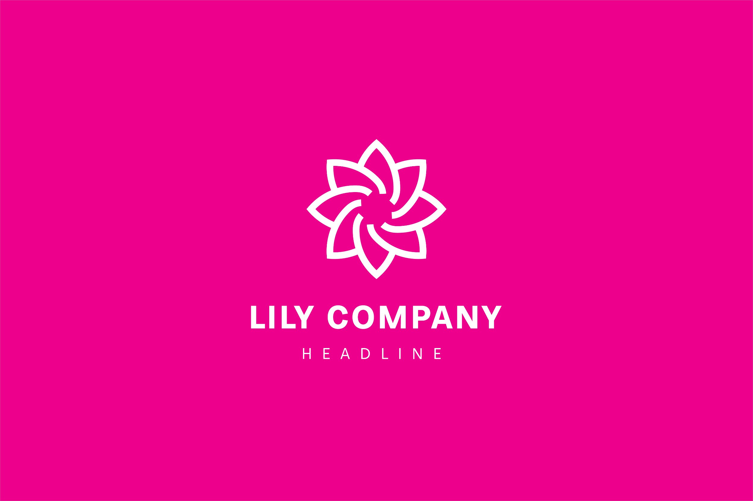 Lily star logo template. preview image.