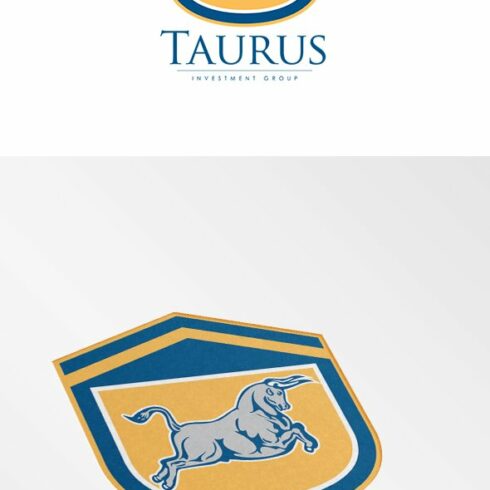 Taurus Investment Group Logo cover image.