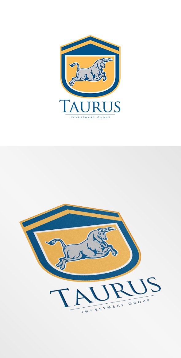 Taurus Investment Group Logo cover image.