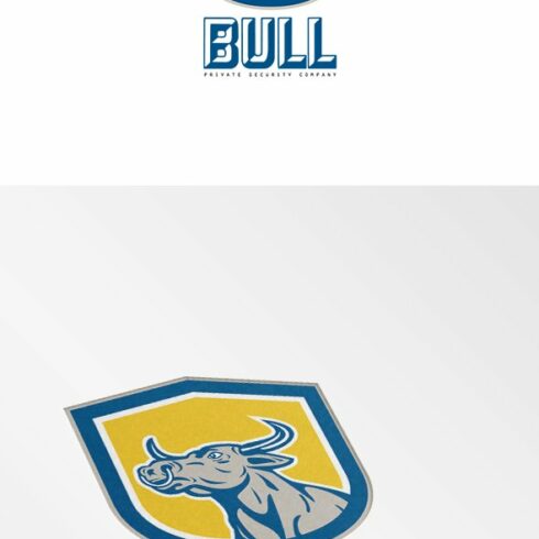 Bull Private Security Company Logo cover image.