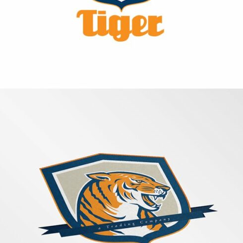 Tiger Trading Company Logo cover image.