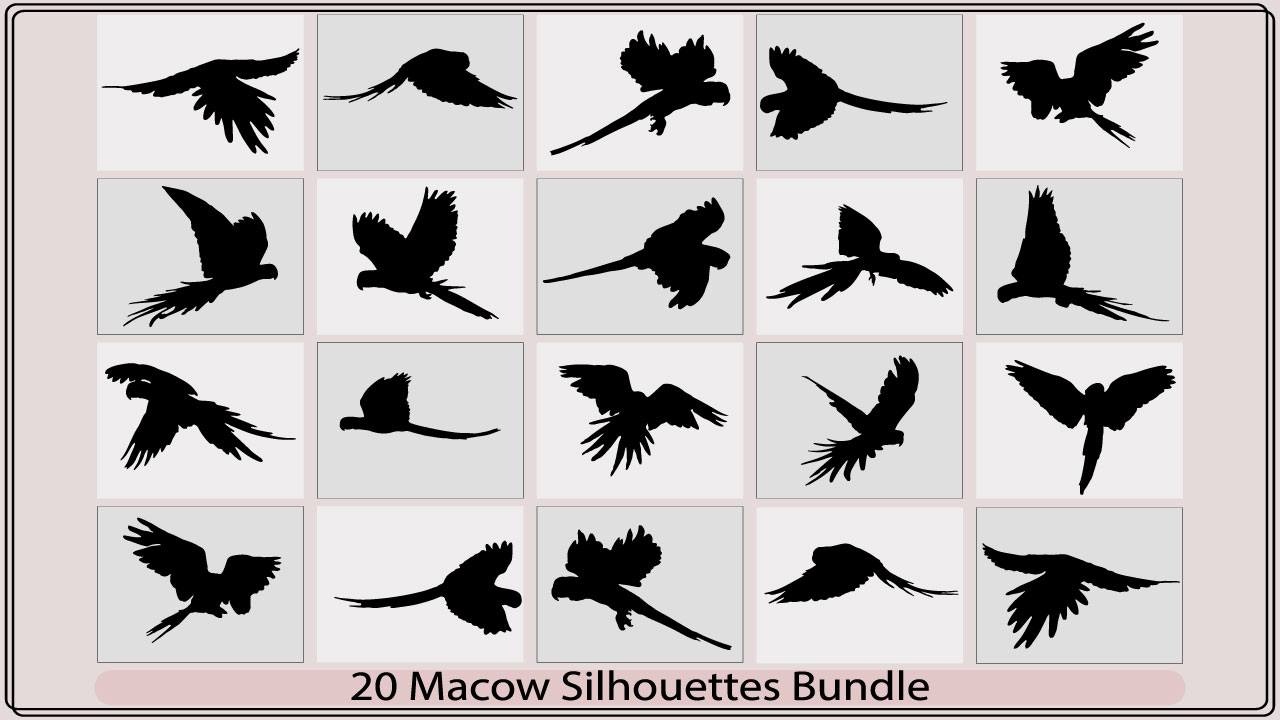 Collection of silhouettes of birds flying in the air.