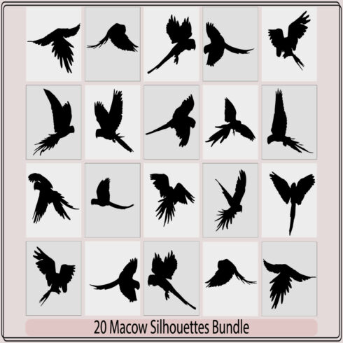macow vector silhouette,Tropical wild bird black silhouettes icons set isolated vector illustration, cover image.