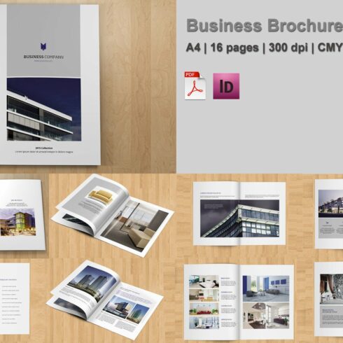 InDesign Business Brochure-V223 cover image.
