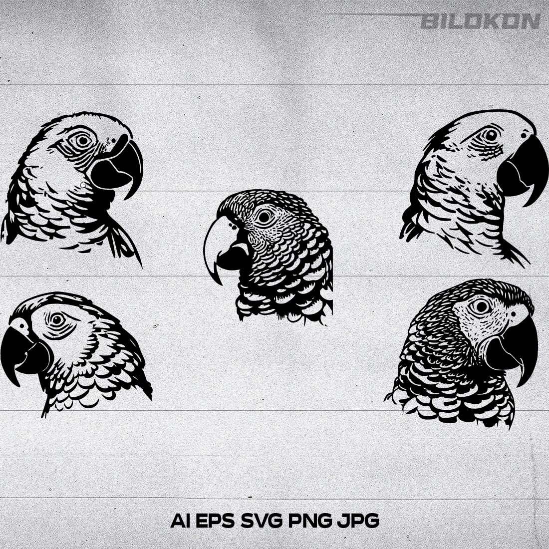 Parrot head Vector illustration, SVG Bundle cover image.