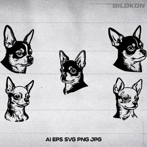Chihuahua dog face, SVG, Vector, Illustration cover image.