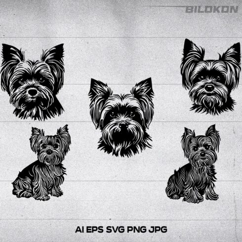 Yorkshire Terrier dog vector illustration cover image.