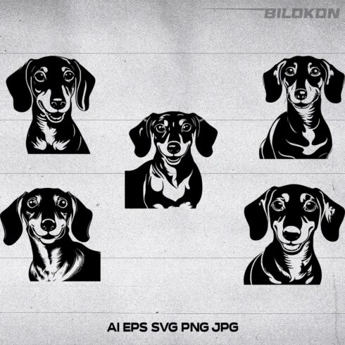 Dachshund dog face, SVG, Vector, Illustration cover image.