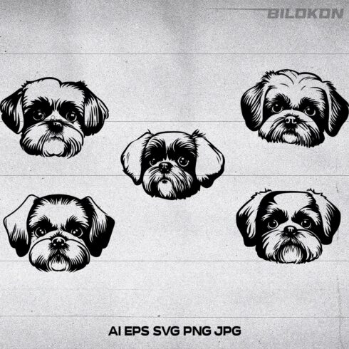 Shih tzu dog face , SVG, Vector, Illustration cover image.