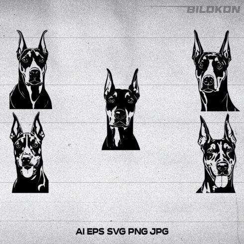 Doberman head dog Vector illustration, SVG Bundle cover image.