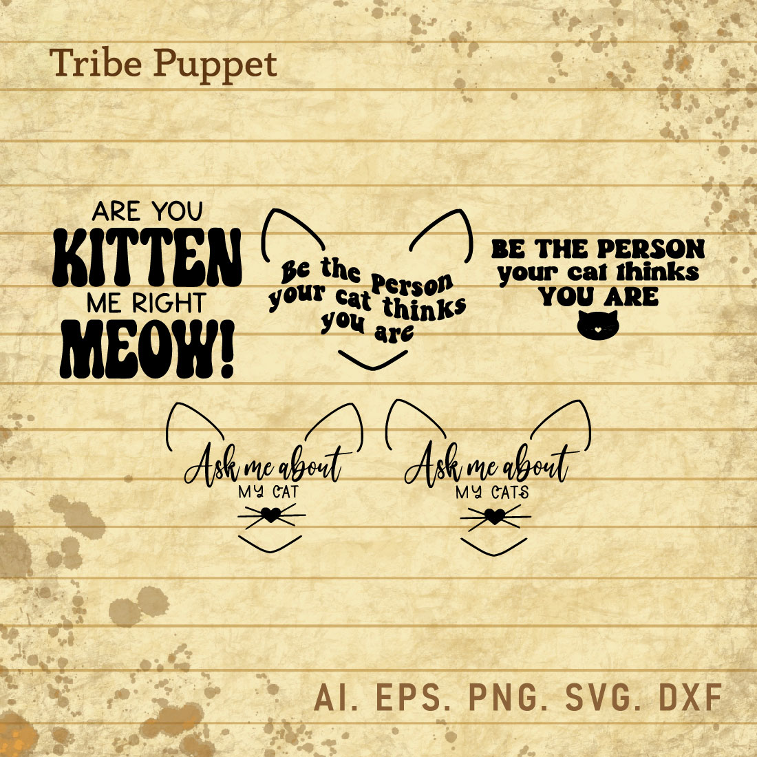 5 Cat Quotes Typography cover image.