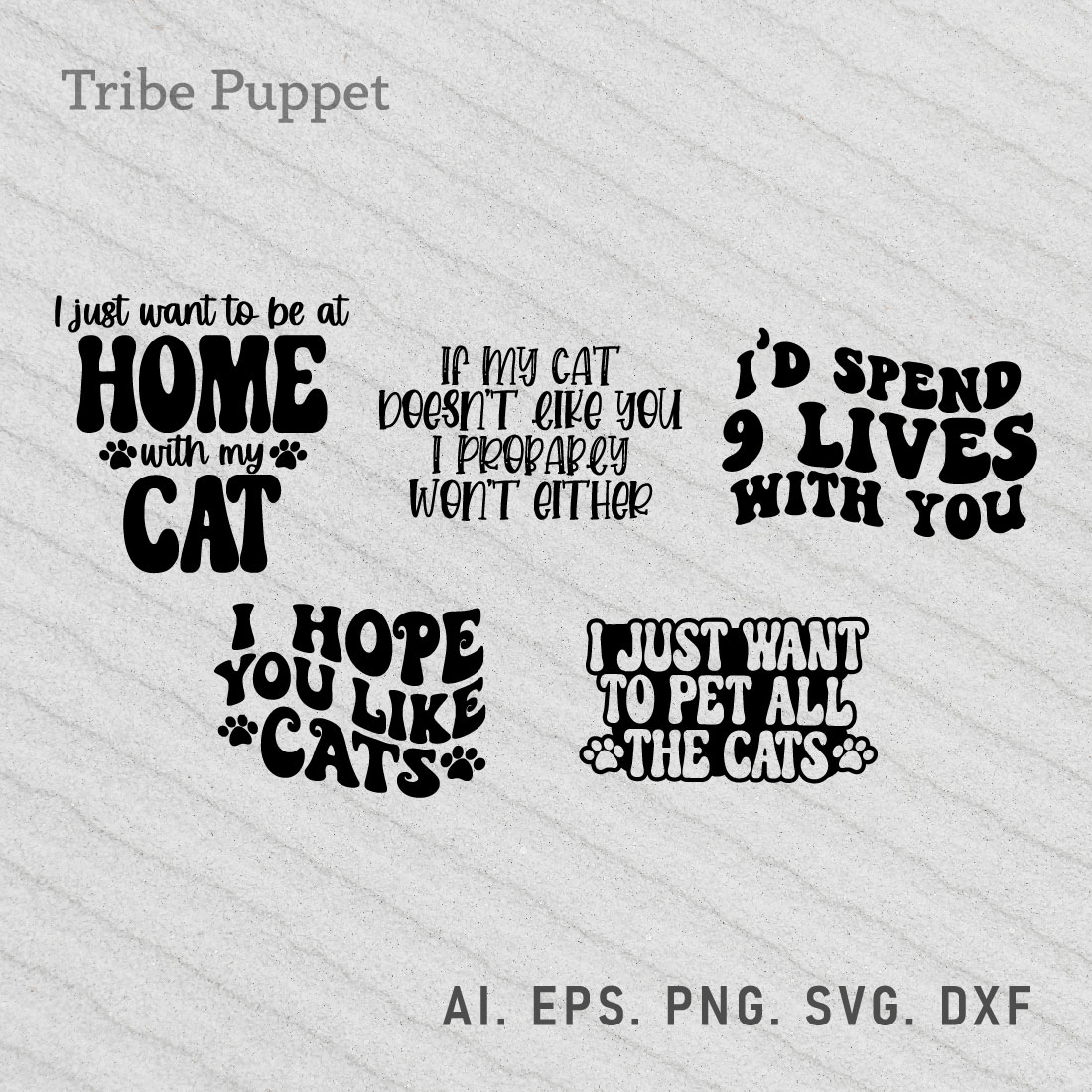 5 Cat Quotes Typography Bundle preview image.