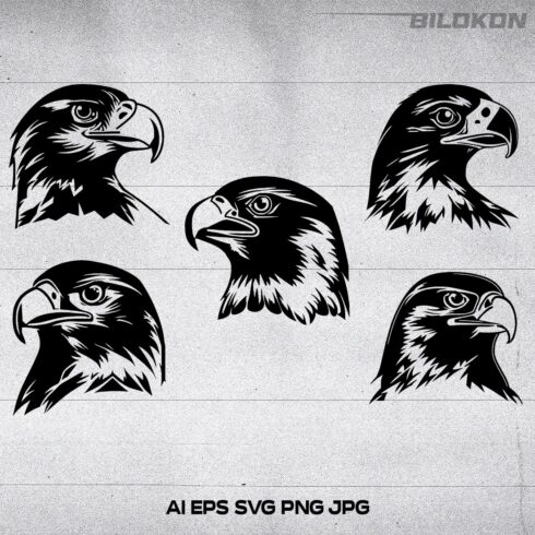 Falcon head , Eagle head, Bird head icon, logo, Illustration, SVG Vector cover image.