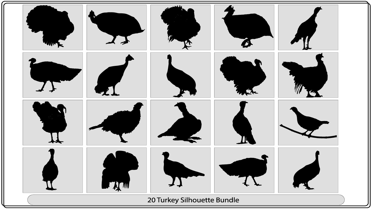 Set of twelve silhouettes of different birds.