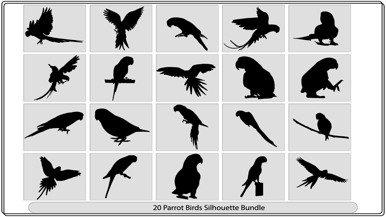 The silhouettes of birds are shown in black and white.