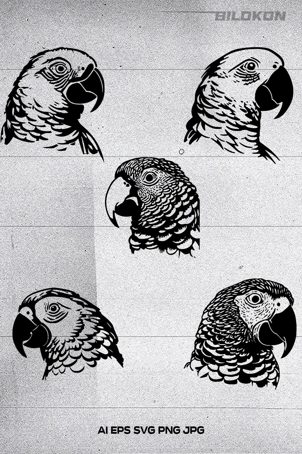Parrot head Vector illustration, SVG Bundle pinterest preview image.