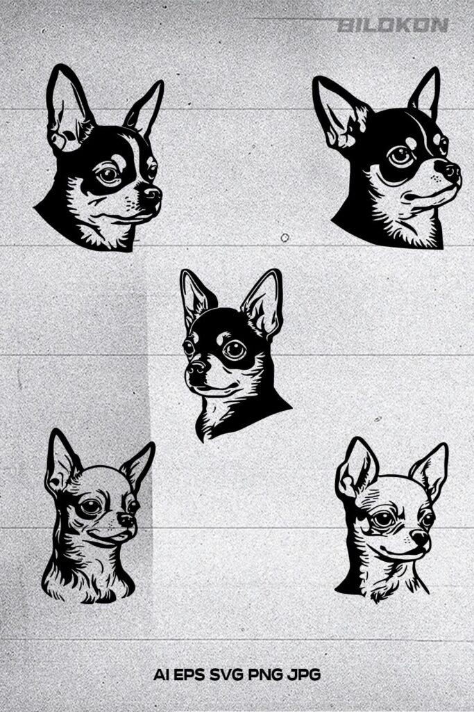 Chihuahua dog face, SVG, Vector, Illustration - MasterBundles