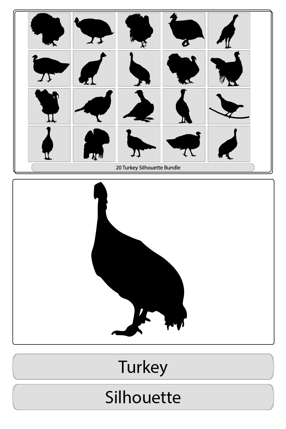 Turkey silhouette,Vector Turkey Silhouettes,vector drawing silhouettes of male and female turkeys, pinterest preview image.