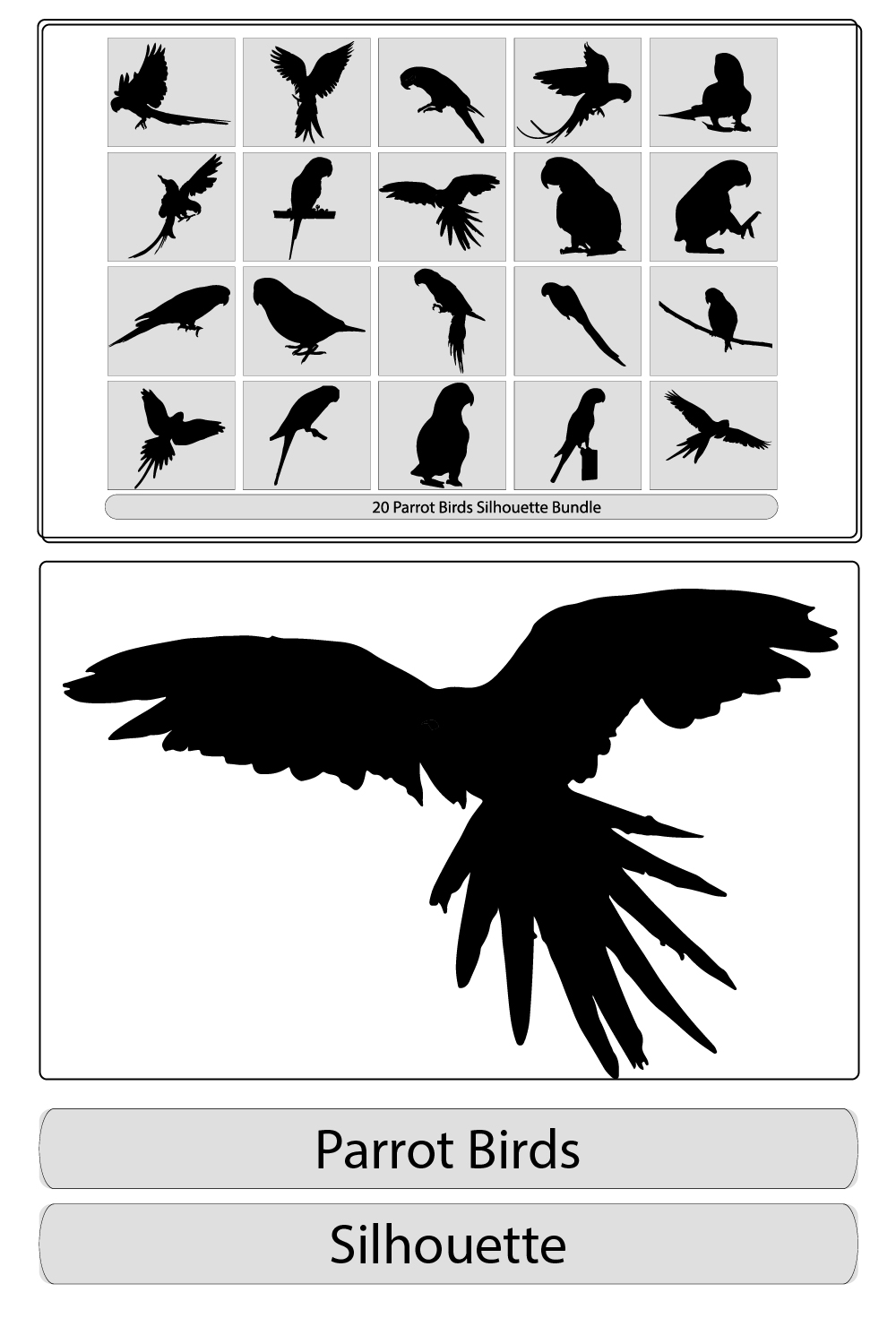 Vector Parrot silhouettes,Tropical parrot set with feathers and wings,Clever speaking parrot sits on a wooden pole pinterest preview image.