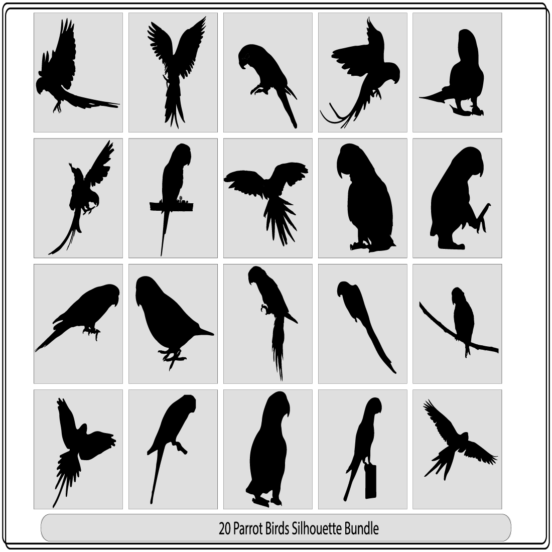 Vector Parrot silhouettes,Tropical parrot set with feathers and wings,Clever speaking parrot sits on a wooden pole cover image.