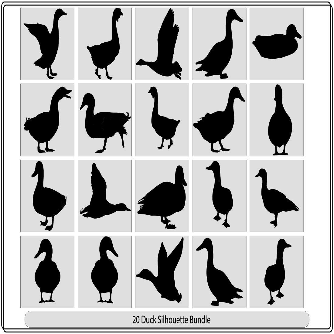 Silhouettes of wild and domestic duck, Duck in flight,silhouette of goose, duck, set,Real duck silhouette cover image.