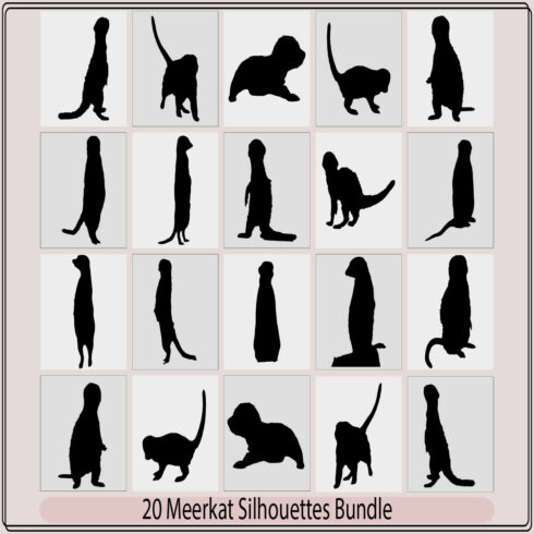 Vector illustration of a black silhouette meerka,meerkat silhouettes Suricata suricatta,Vector illustration of black silhouette meerkat cover image.