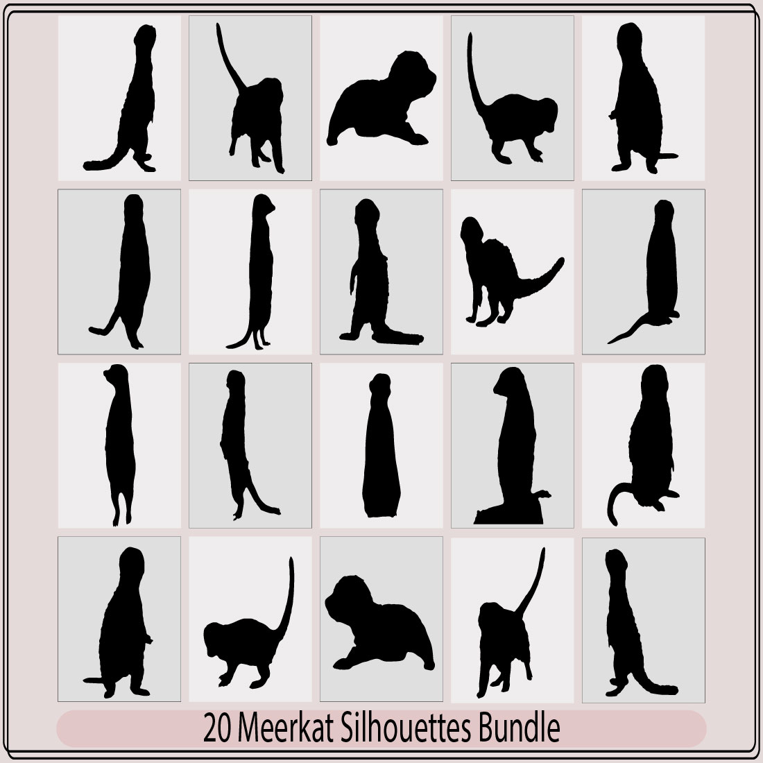 Vector illustration of a black silhouette meerka,meerkat silhouettes Suricata suricatta,Vector illustration of black silhouette meerkat cover image.
