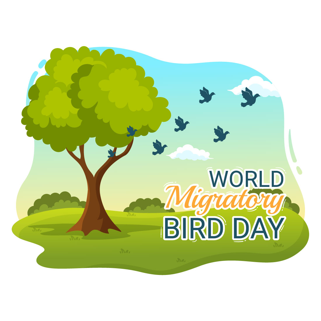 14 World Migratory Bird Day Illustration preview image.