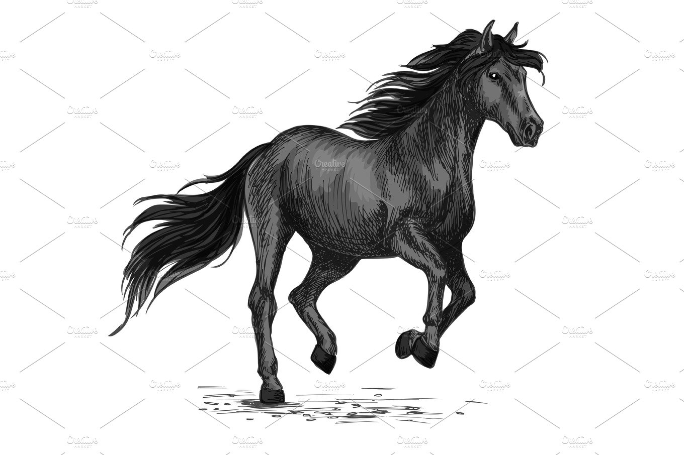 Sketched stallion gallop or horse abling cover image.