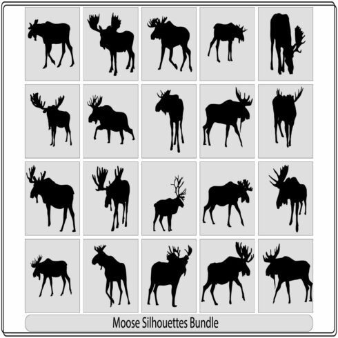 Set of three moose silhouettes,Moose, wild deer Concept design of farm animals,Moose vector silhouette,moose animal silhouette style icon cover image.