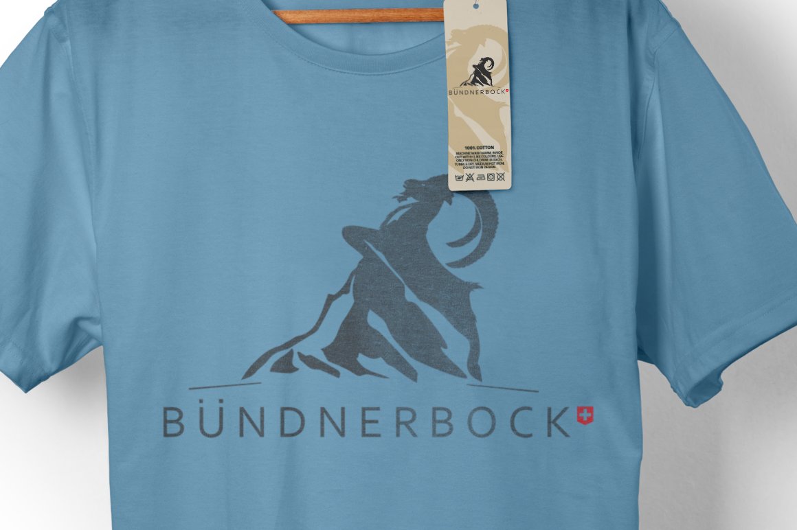 mountain ibex logo 2 597