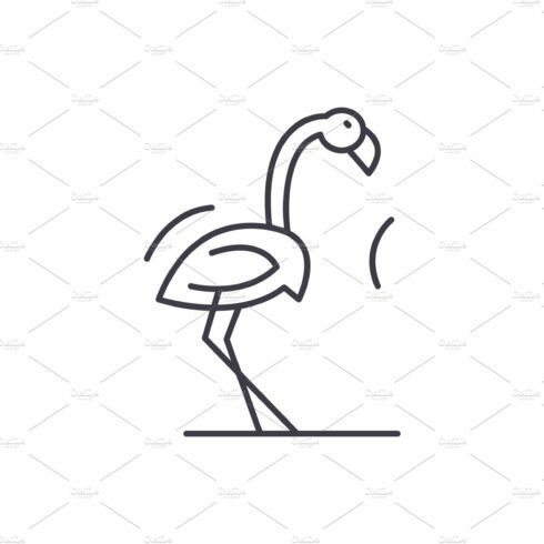 Flamingo line icon concept. Flamingo cover image.