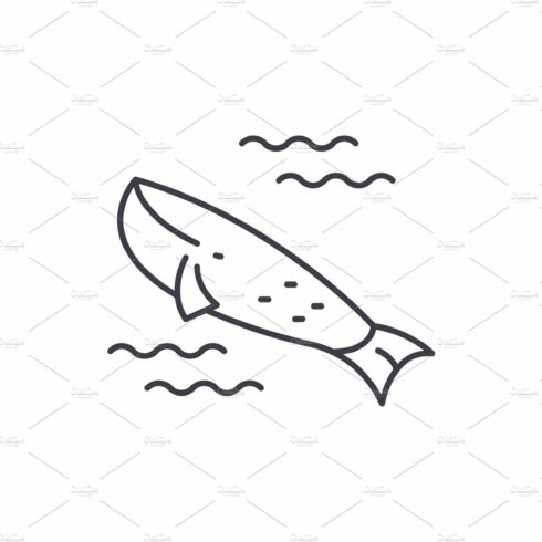 Whale in the ocean line icon concept cover image.