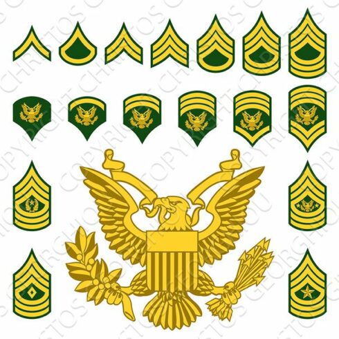 Military Army Enlisted Rank Insignia cover image.