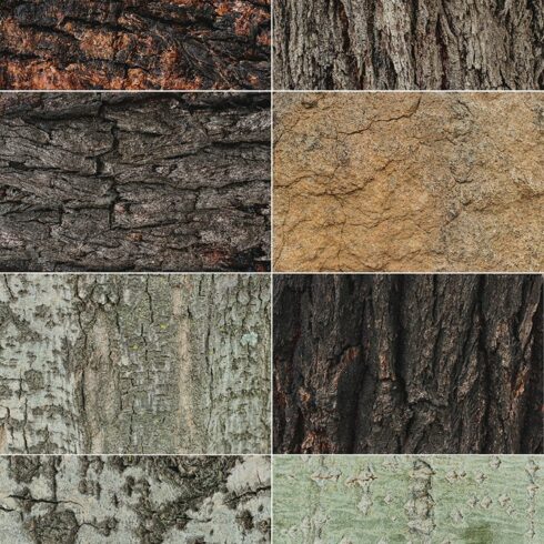 Natural Textures of Wood & Bark cover image.