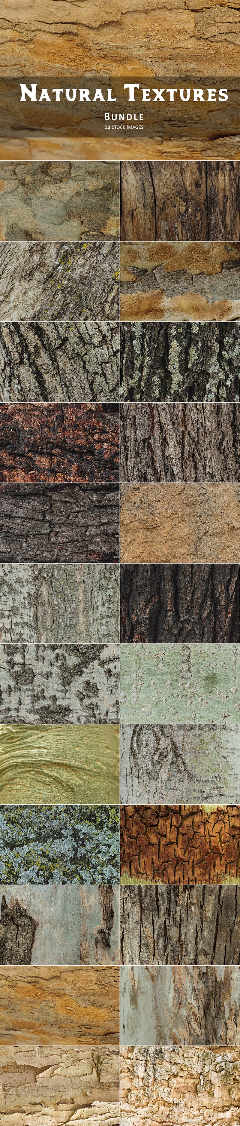 Natural Textures of Wood & Bark cover image.